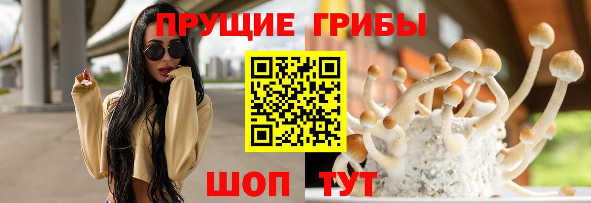 Полысаево  Галлюциногенные грибы Psilocybe  купить наркотик  Вход с VPN 